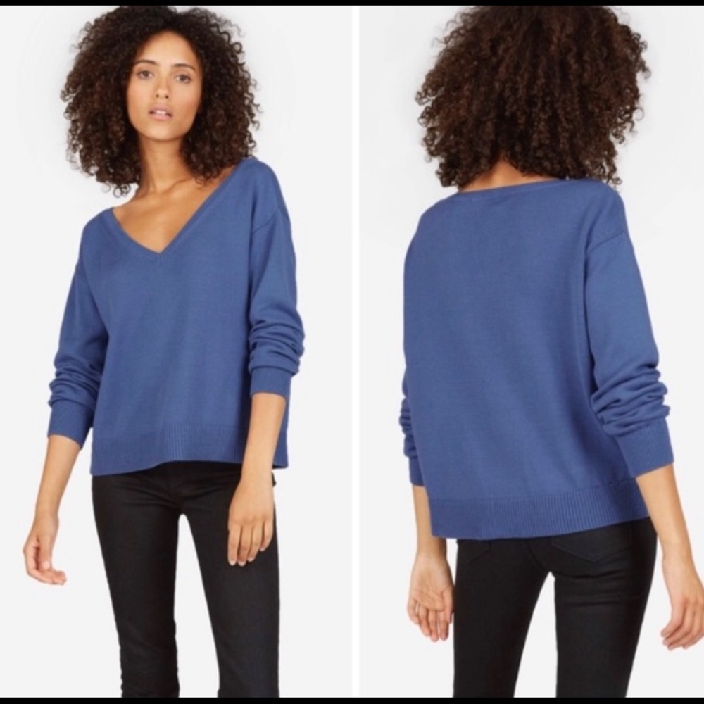 Everlane Blue Soft Cotton V Neck Sweater - L